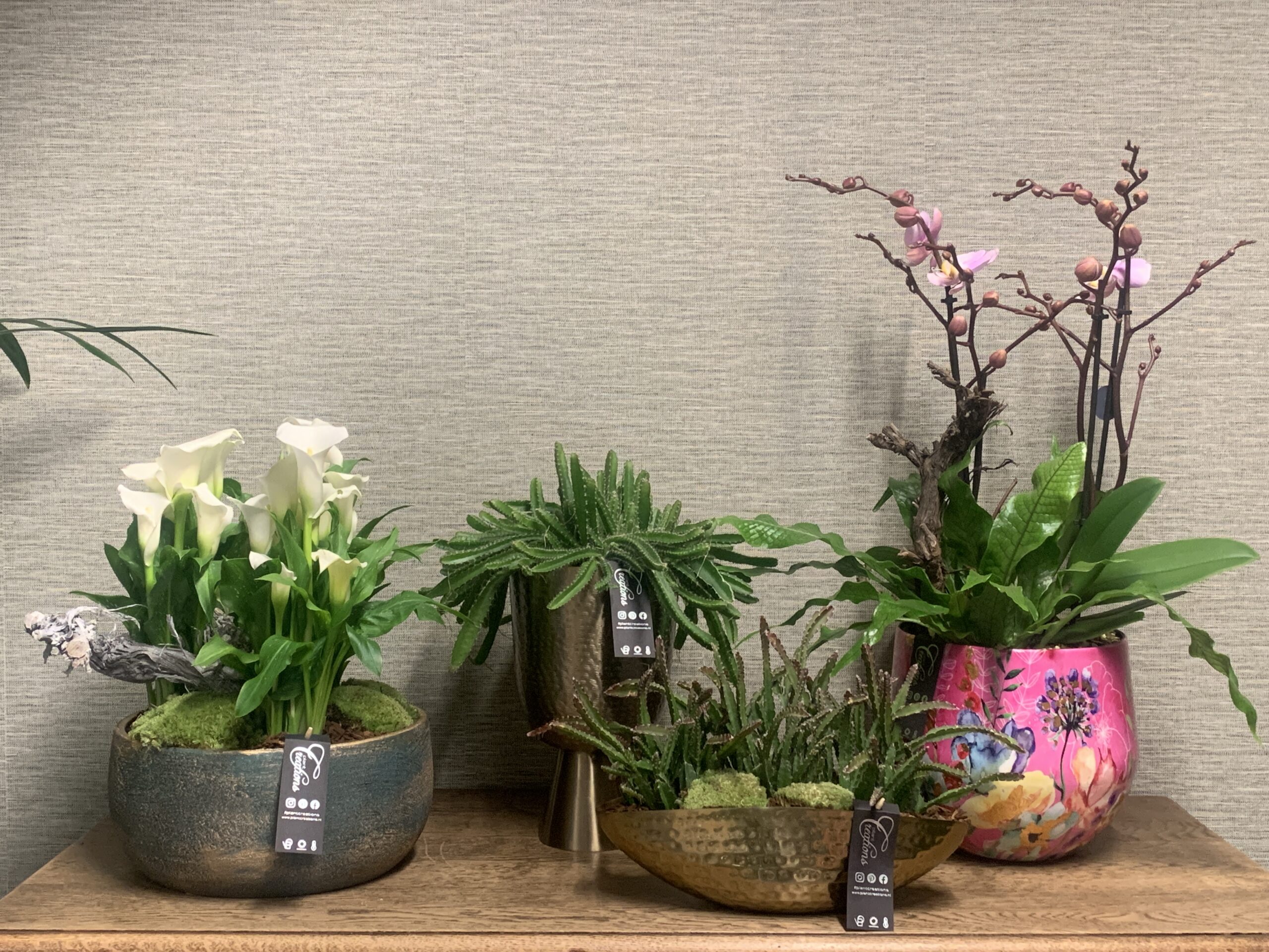Display im Handel